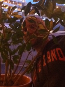 That's a little better