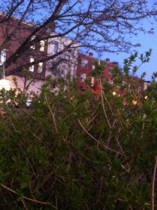 I think he finally nailed it